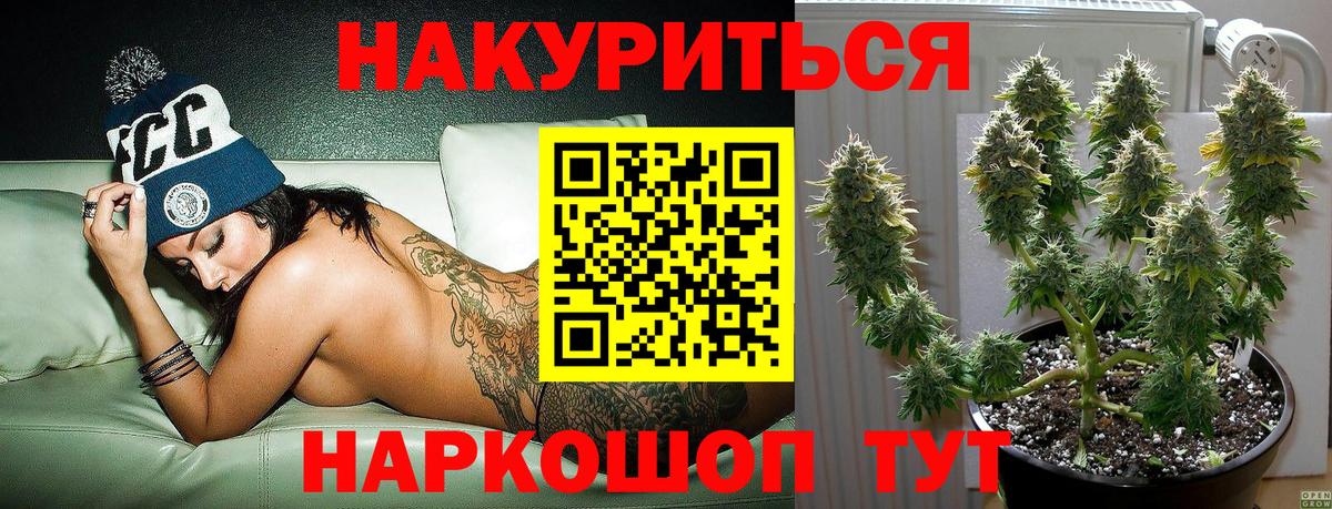 Бошки Шишки VHQ  Вход с VPN  Канабис план  Каннабис сатива  Советск 